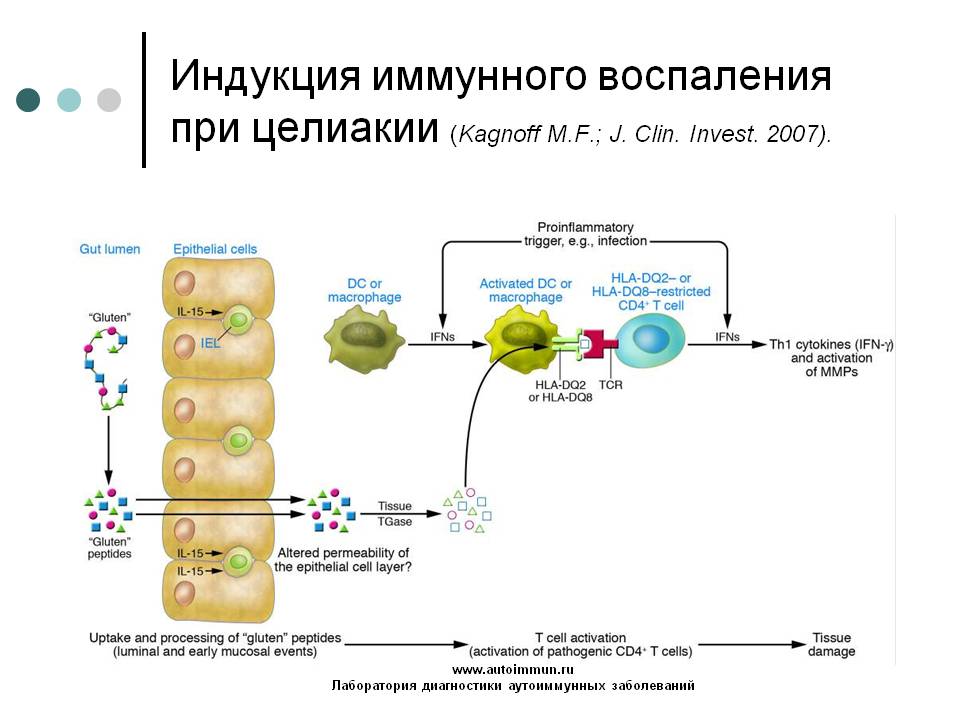 Книга диеты не работают отзывы