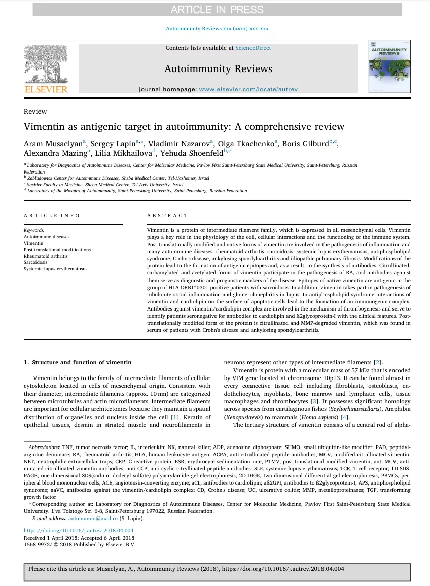 Vimentin as antigenic target in autoimmunity: A comprehensive review Vimentin as antigenic target in autoimmunity: A comprehensive review