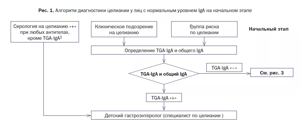 Алгоритм диагностики целиакии у лиц с нормальным уровнем IgA