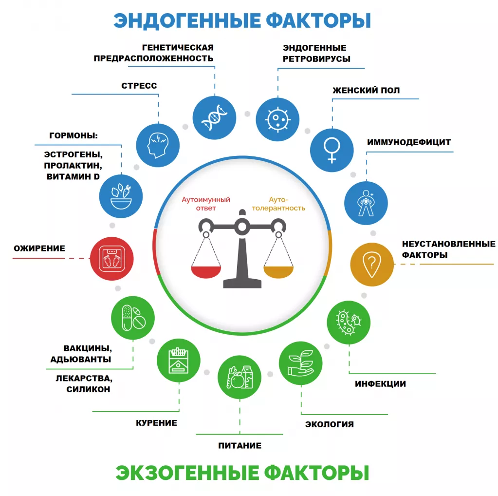  Возможные причины и факторы риска развития аутоиммунных заболеваний