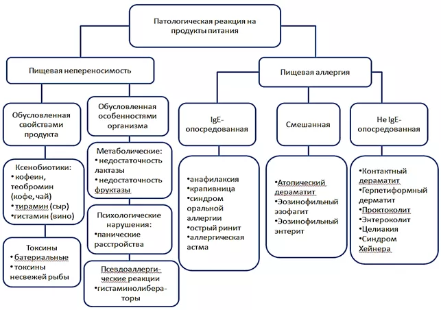 Без названия (2).png