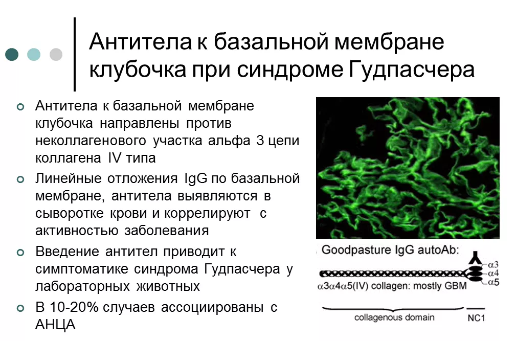 Гудпасчер.png
