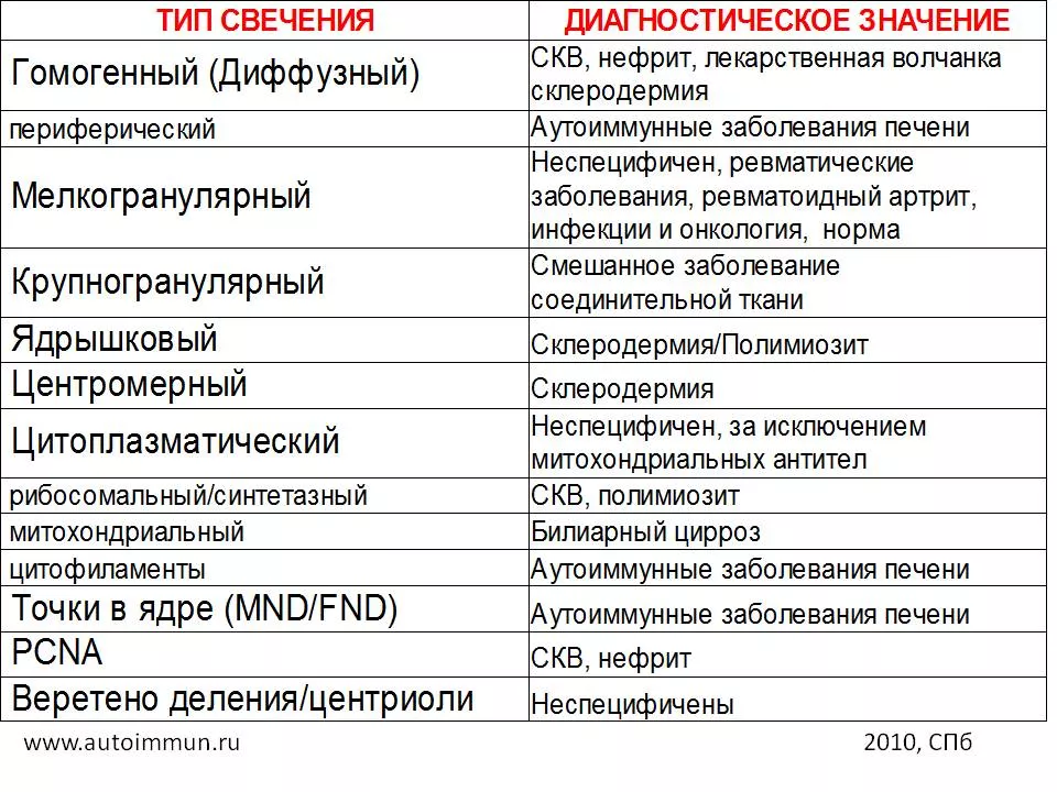 Рисунок 5. Основные клинически значимые типы свечения антинуклеарного фактора.