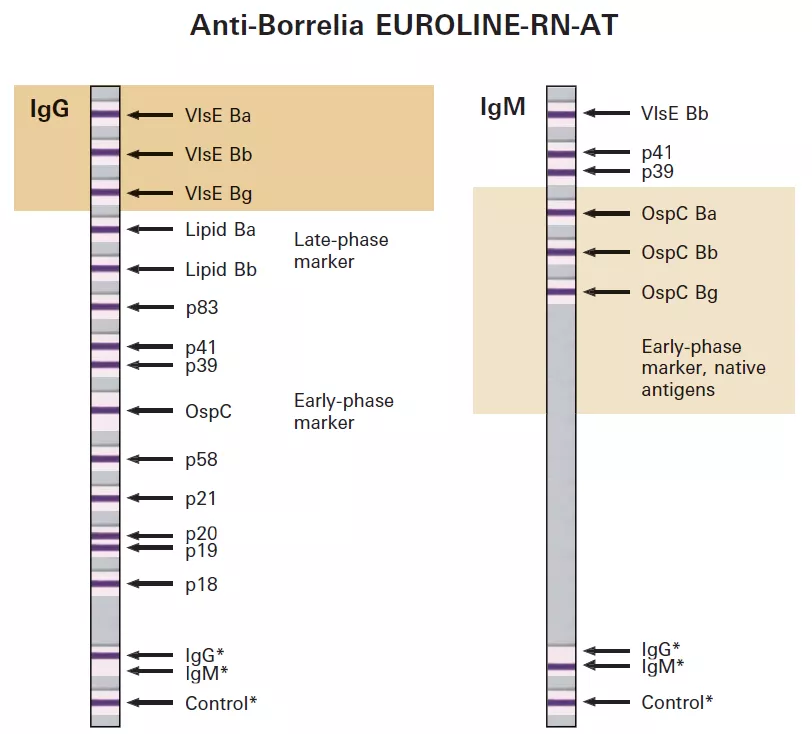 2024-09-11_18-40-01.png 2024-09-11_18-40-01.png
