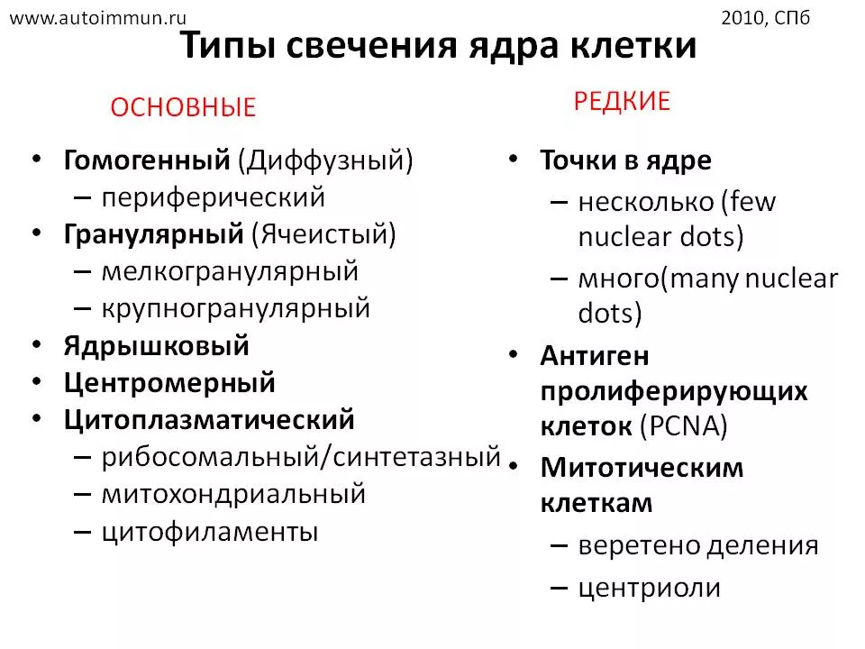 Рисунок 4. Основные клинически значимые типы свечения антинуклеарного фактора.