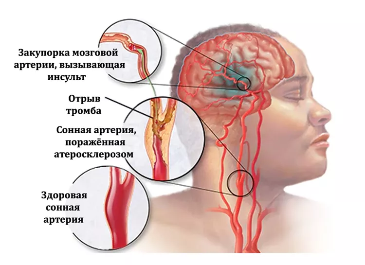 image8.png