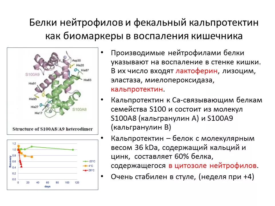 kalprotektin_1_vzk.jpg